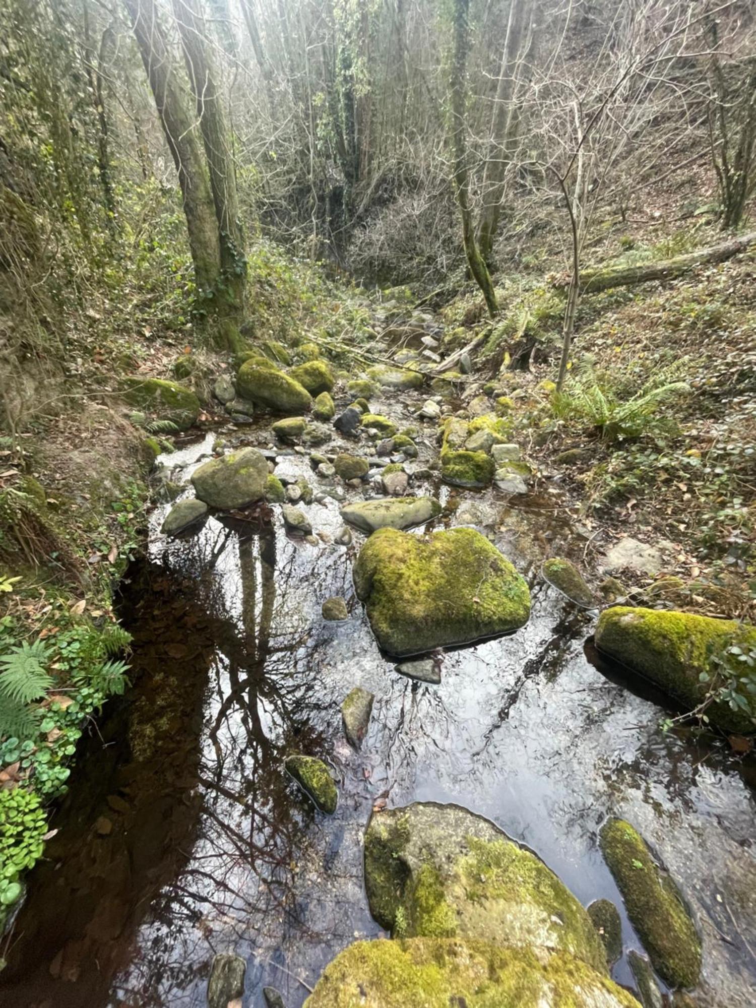 Appartamento Mas Caraus Montferrer Esterno foto